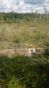 Gallery Cover Image of Sq.ft Residential Plot for buy in Bidadi for 1500000