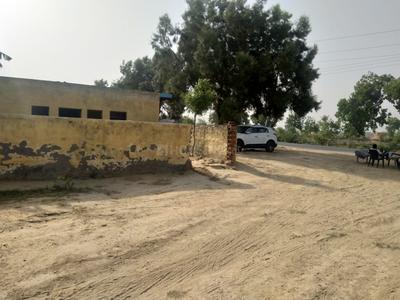 Gallery Cover Image of Sq.ft Residential Plot for buy in Nainana Jat for 687500