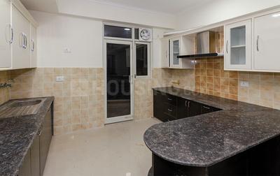 Kitchen Image of Maya Nest 46 in Sector 46