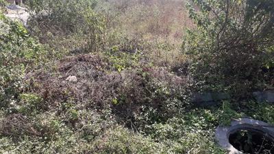 Residential Plot