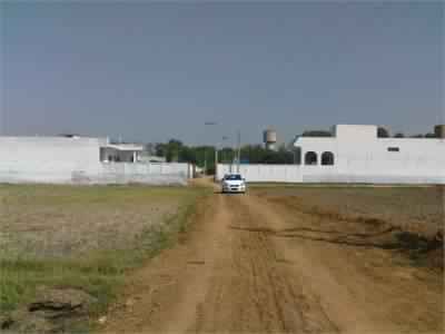 Residential Plot