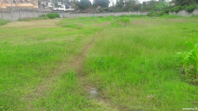 Gallery Cover Image of Sq.ft Residential Plot for buy in Chhattarpur for 135000000