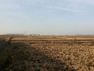 Gallery Cover Image of Sq.ft Residential Plot for buy in Uran for 700000