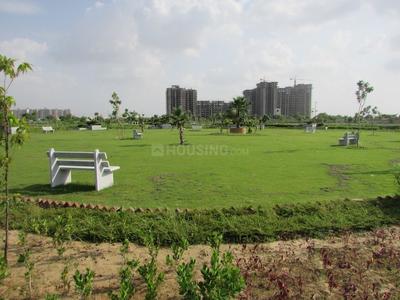 Residential Plot
