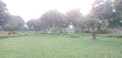 Residential Plot