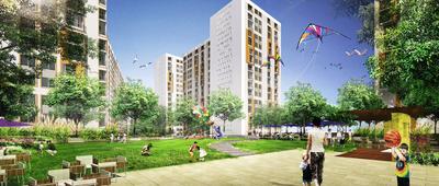 3 BHK Apartment