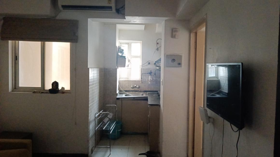 Paras Tierea - Image 6