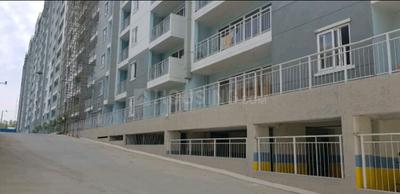 3 BHK Apartment