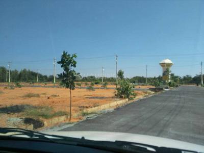 Residential Plot
