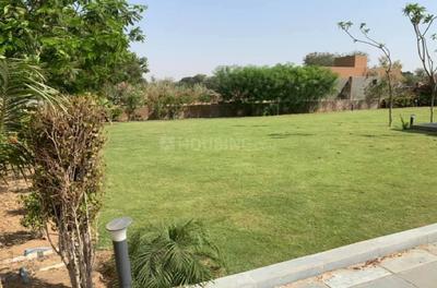 Residential Plot
