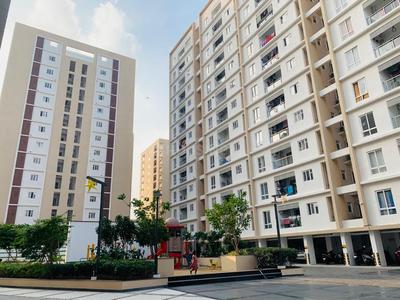 3 BHK Apartment