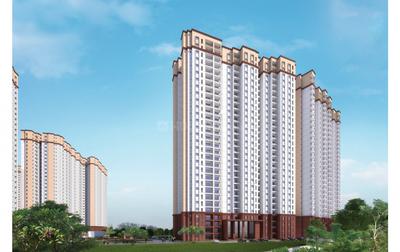 3 BHK Apartment