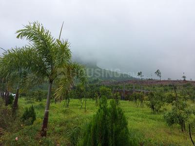 Residential Plot