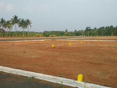 Residential Plot
