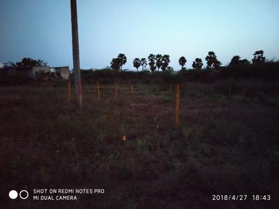 3600 Sq.ft Residential Plot for Sale in Konthamuru, Rajahmundry