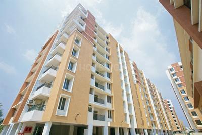 3 BHK Apartment