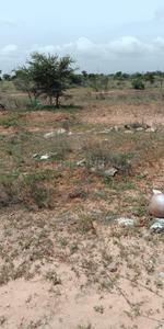 Gallery Cover Image of Sq.ft Residential Plot for buy in Karumalai Chettipalayam for 600000