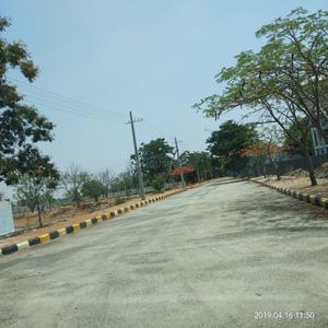 Residential Plot