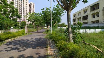 Residential Plot