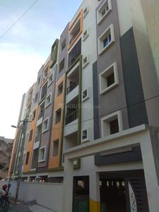 3 BHK Apartment