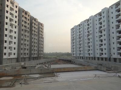 Gallery Cover Image of 1010 Sq.ft 3 BHK Apartment for buy in Rajendra Nagar for 6700000