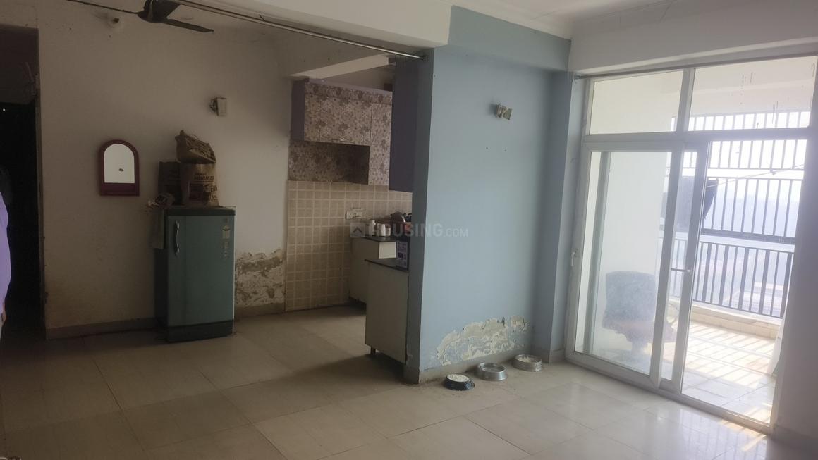 Saviour Iris - Image 2