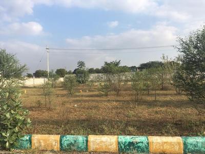 Residential Plot