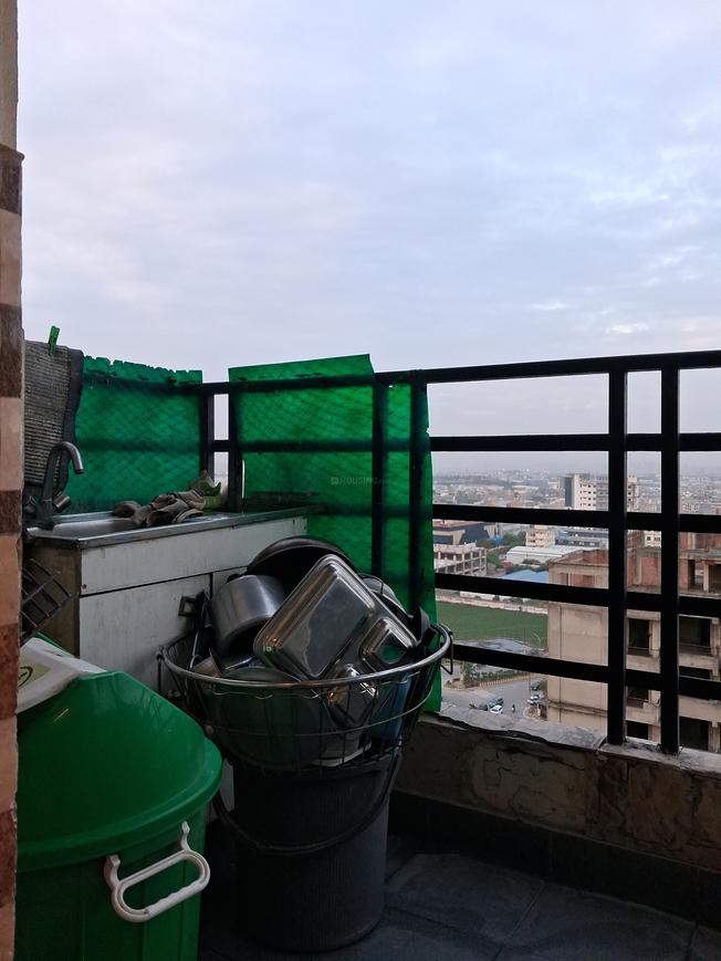 Exotica Fresco - Image 23