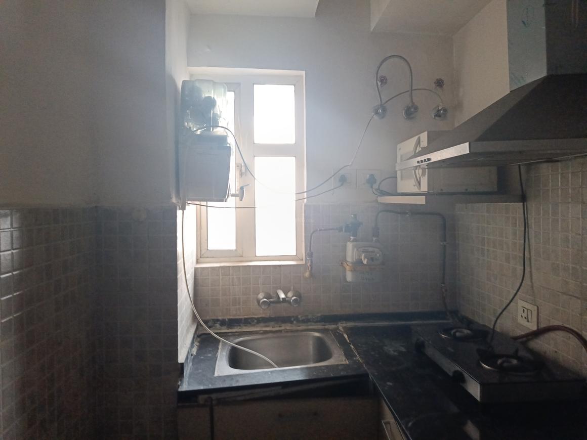 Paras Tierea - Image 19