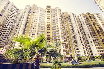 3 BHK Apartment