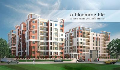 3 BHK Apartment