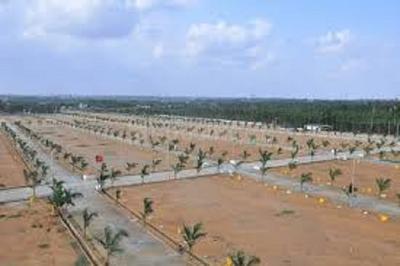 Gallery Cover Image of Sq.ft Residential Plot for buy in Mansanpally for 8580000