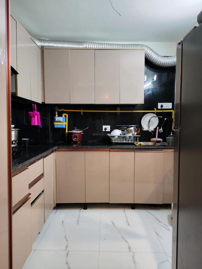 Sk Silver Oak 2 - Image 7