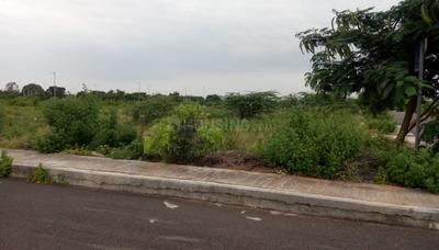 Residential Plot