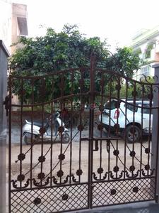 Gallery Cover Image of 810 Sq.ft 4 BHK Independent House for buy in Sector 10 DLF for 7500000