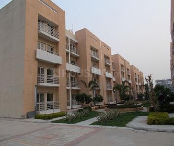 3 BHK Apartment