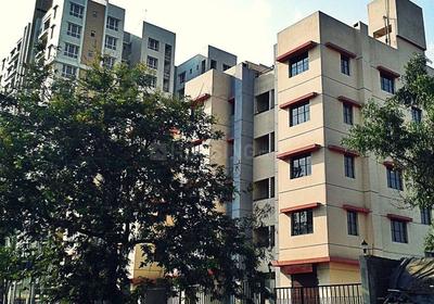 3 BHK Apartment
