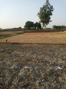 Gallery Cover Image of Sq.ft Residential Plot for buy in Phaphamau for 900000