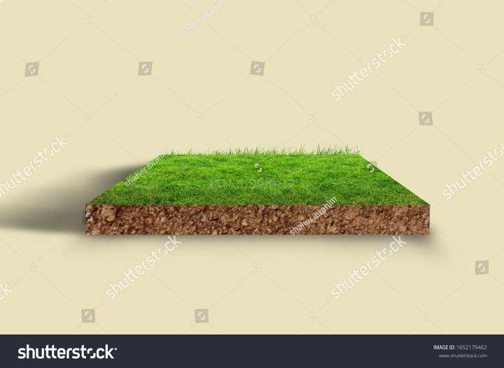 2000 Sqft Residential Plot for sale in Mayur Kunj Flat Kothrud, Pune