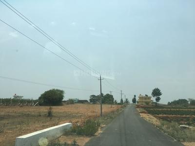 Residential Plot