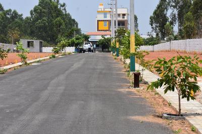 Residential Plot