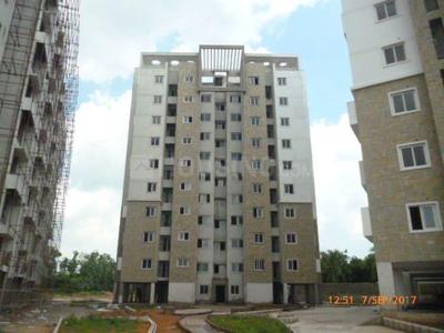 3 BHK Apartment