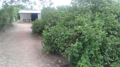 Gallery Cover Image of Sq.ft Residential Plot for buy in Jagatpura for 90000000