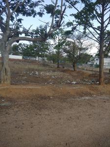 Residential Plot