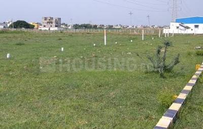 Residential Plot