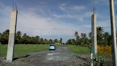Residential Plot