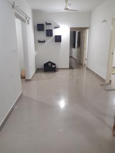 3 BHK Apartment