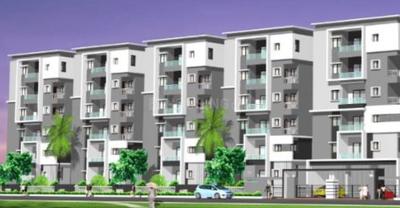 3 BHK Apartment