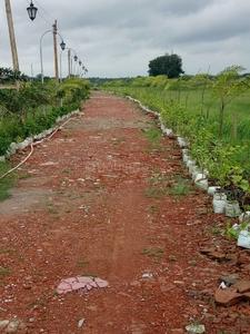 Gallery Cover Image of Sq.ft Residential Plot for buy in Rasapunja for 350000