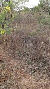 Residential Plot